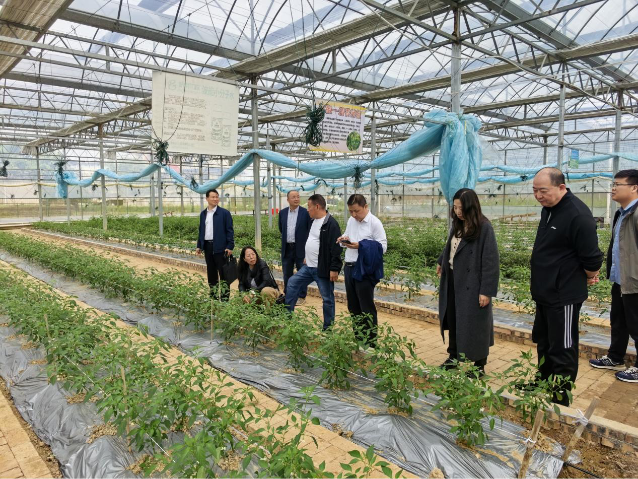 bevictor伟德官网